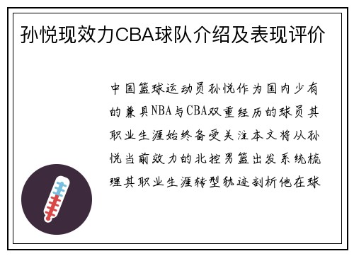 孙悦现效力CBA球队介绍及表现评价